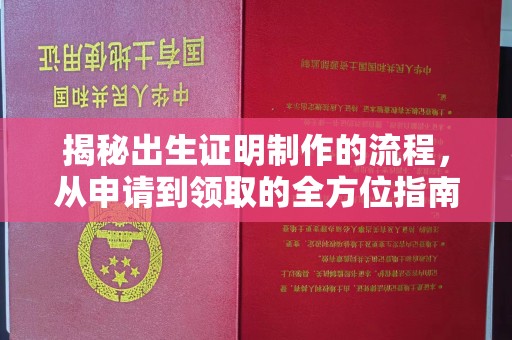 深州揭秘出生证明制作的流程，从申请到领取的全方位指南